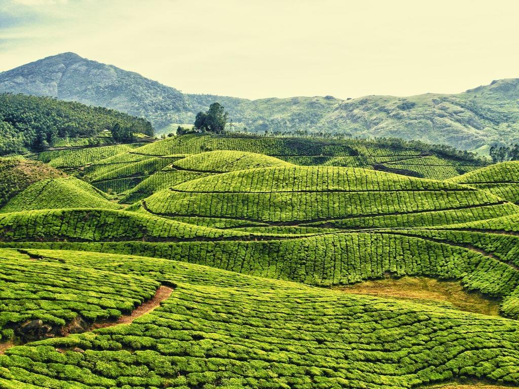 Dean Dale Cottages Thekkady Esterno foto