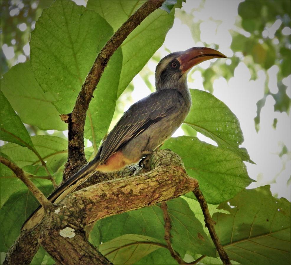 Dean Dale Cottages Thekkady Esterno foto